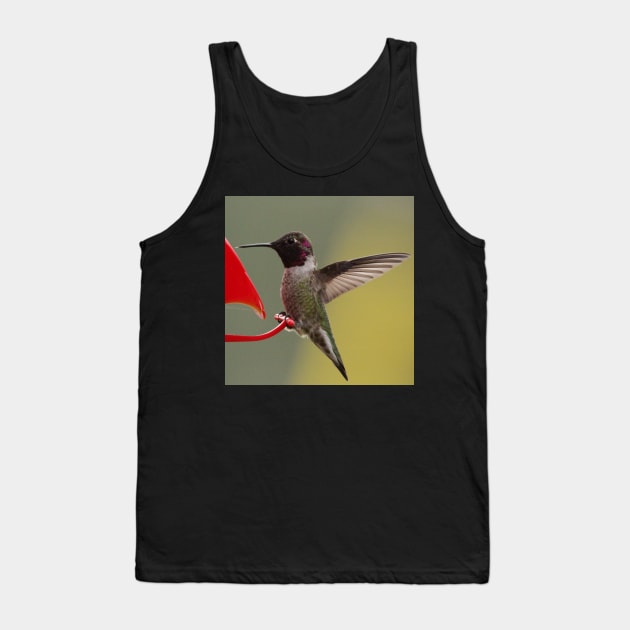 Hummingbird at feeder Tank Top by SandiLin